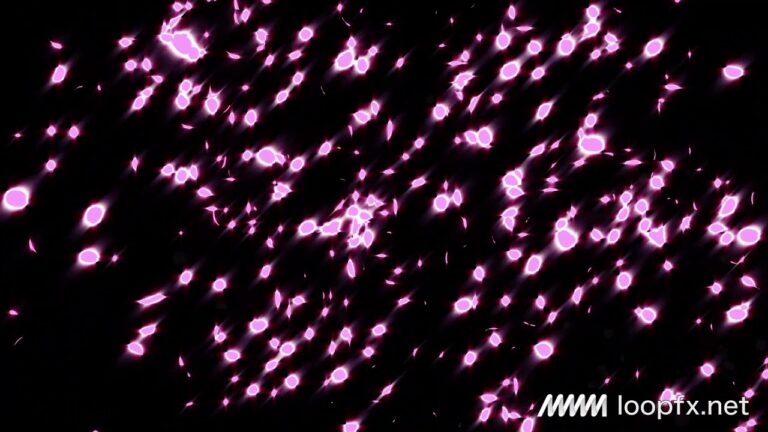 花の桜吹雪のパーティクル素材