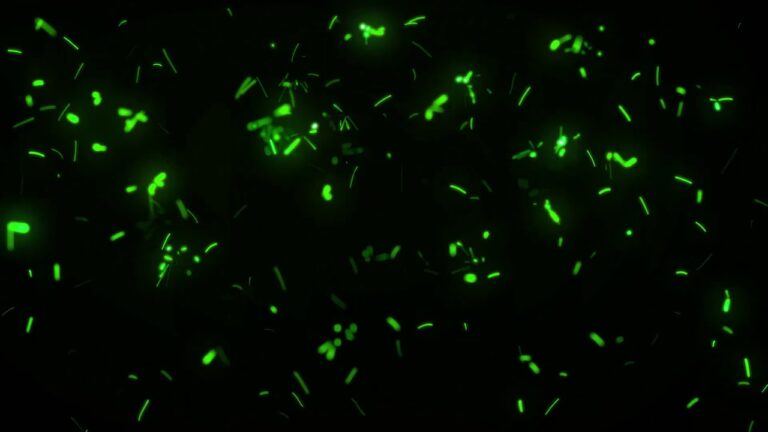 緑の火花の光の粒子エフェクト素材