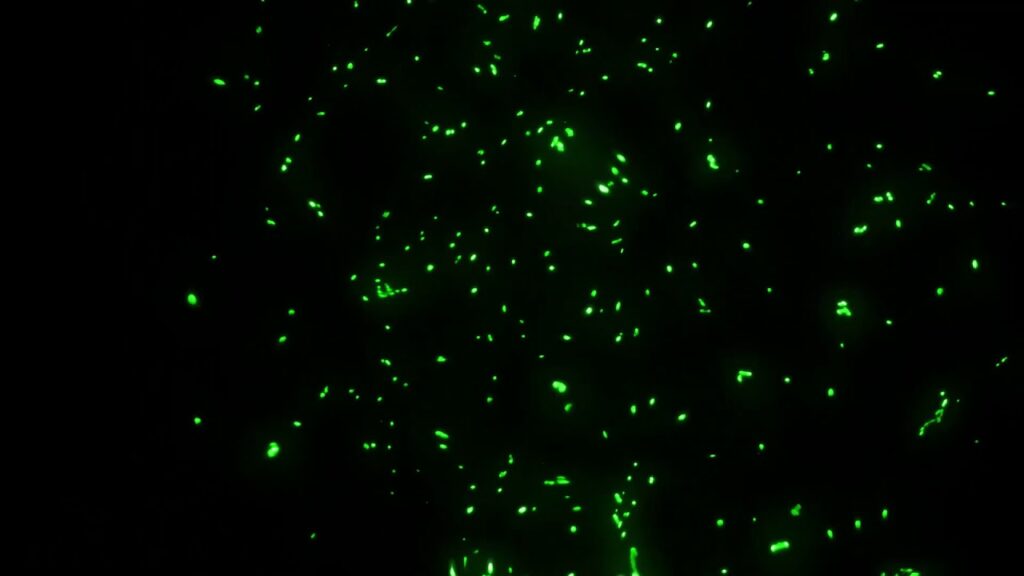 緑の火花のパーティクルの動画素材