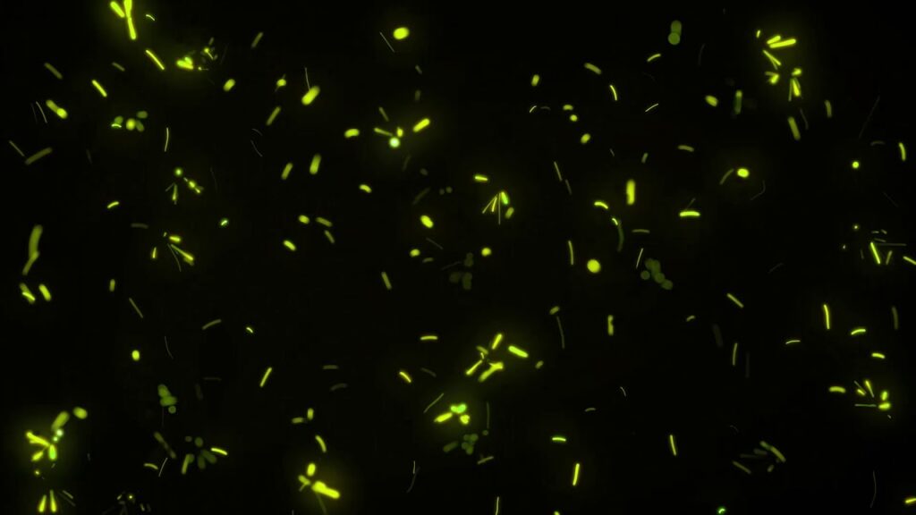 黄色い火花のパーティクルの動画素材