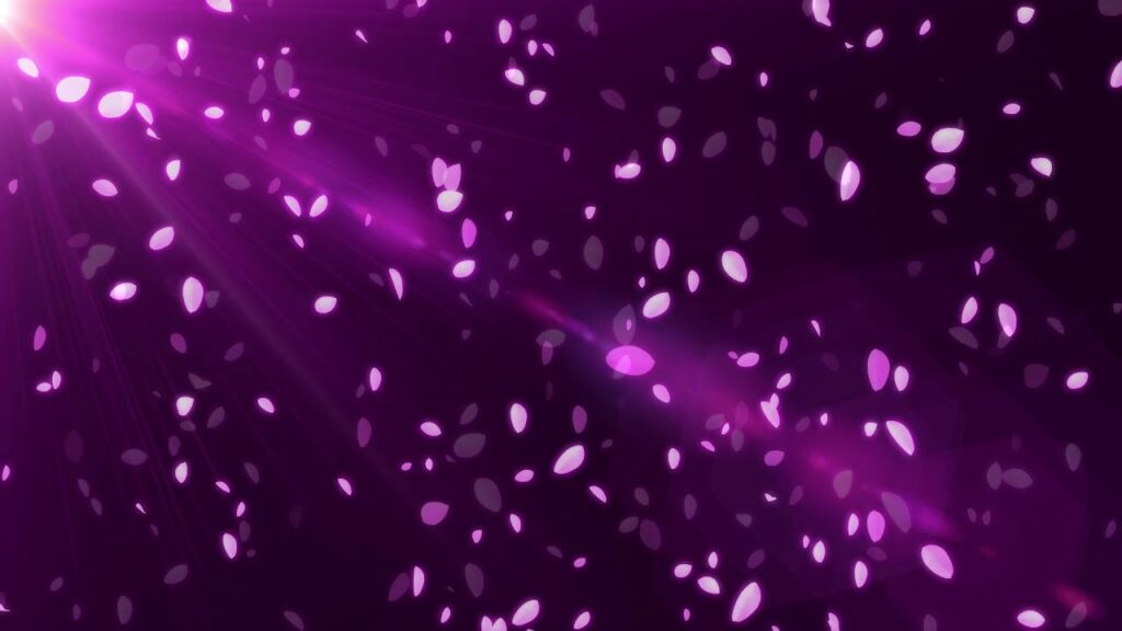 花の舞い散る桜の動画素材