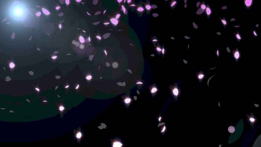 舞い散る桜の動画素材