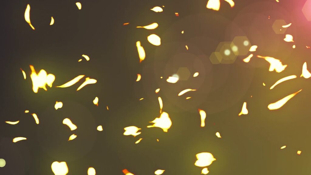 金色の花のパーティクルの動画素材