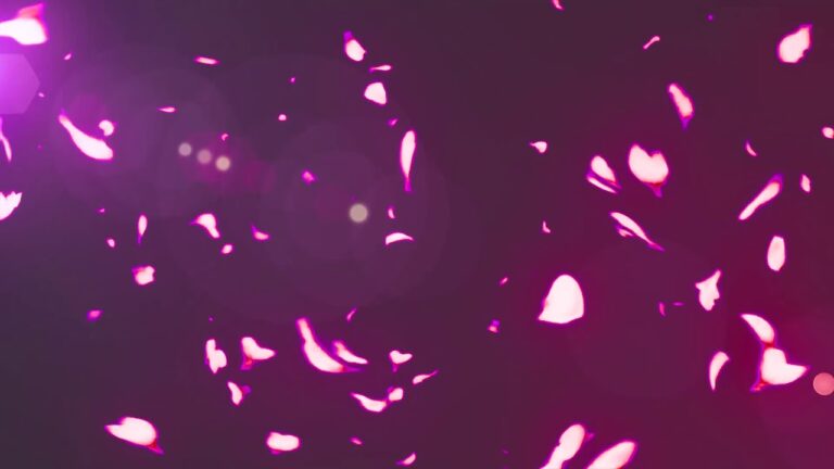 花の舞い散る桜の動画素材