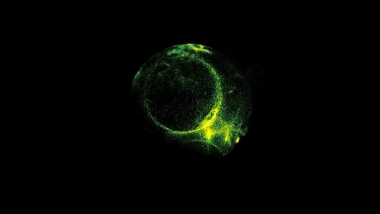 緑のエネルギーの光の粒子エフェクト素材