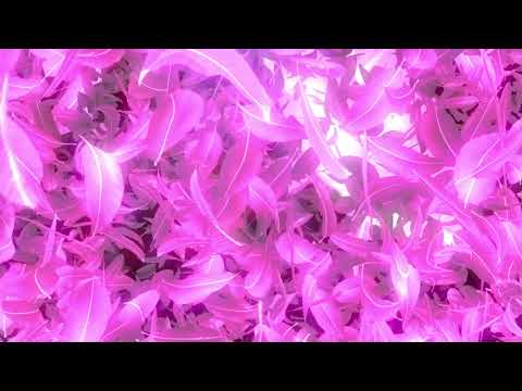 花の桜吹雪のパーティクル素材